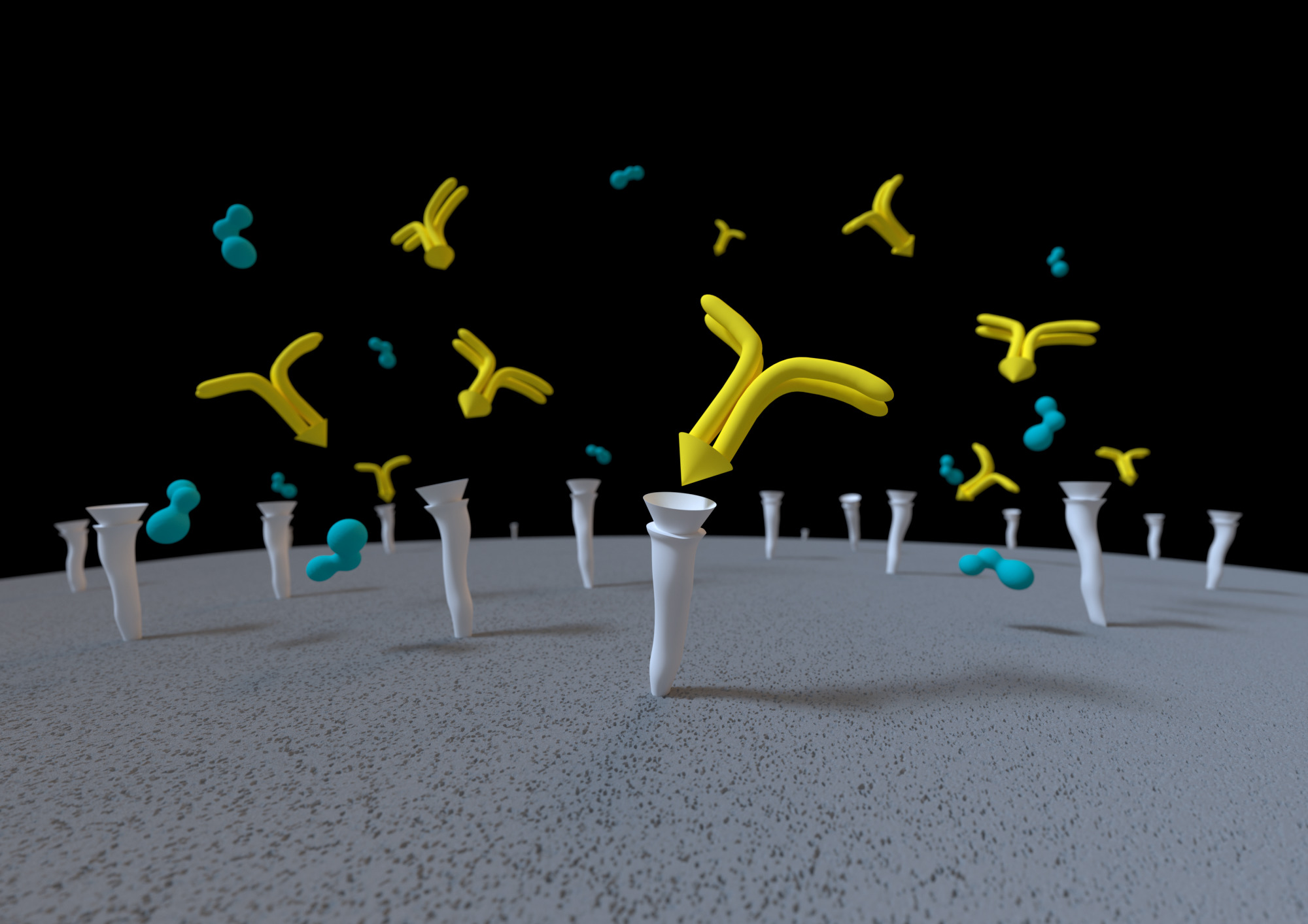 Monoliths for Affinity Purification - Sartorius Croatia
