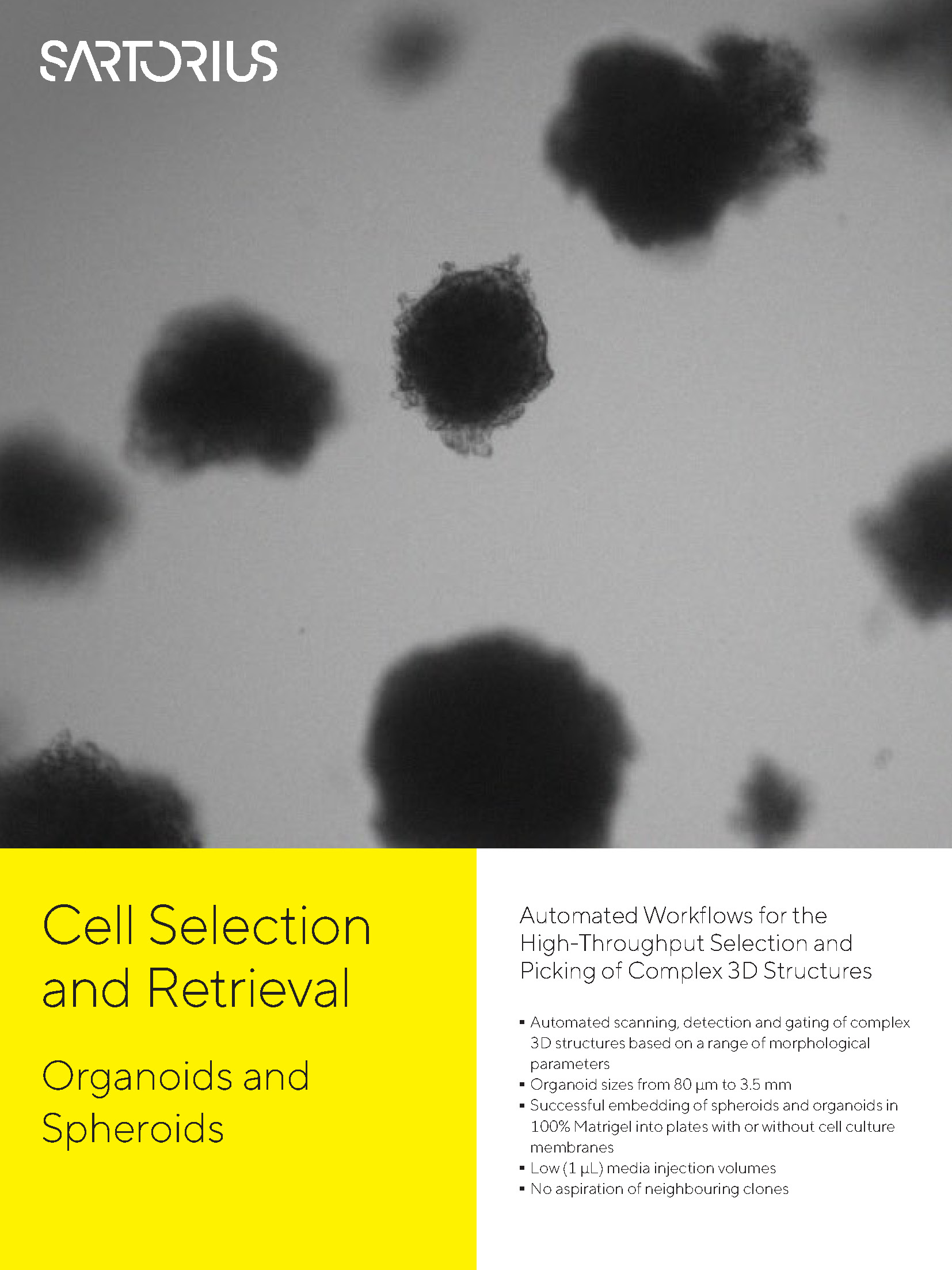Cell Selection and Retrieval - Organoids and Spheroids - Sartorius Croatia