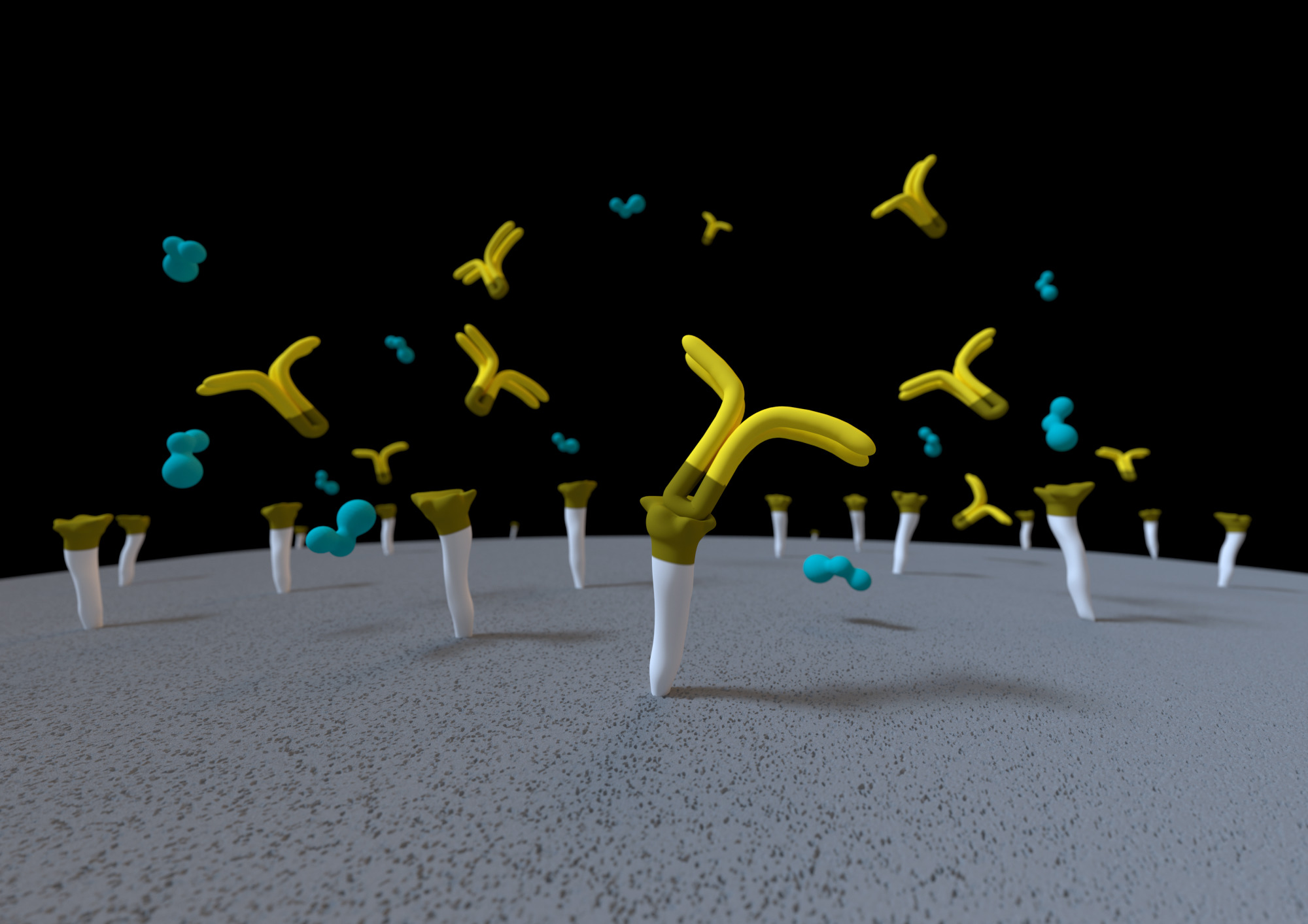 Monoliths for HIC Chromatography - Sartorius Croatia