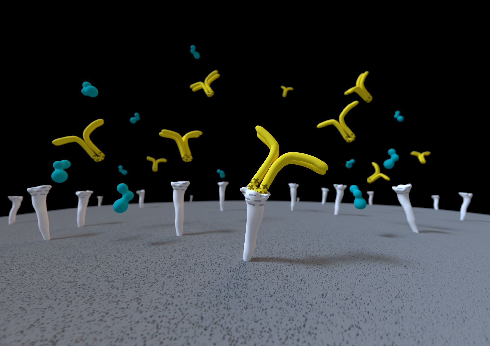 Monoliths for IEX Chromatography - Sartorius Croatia