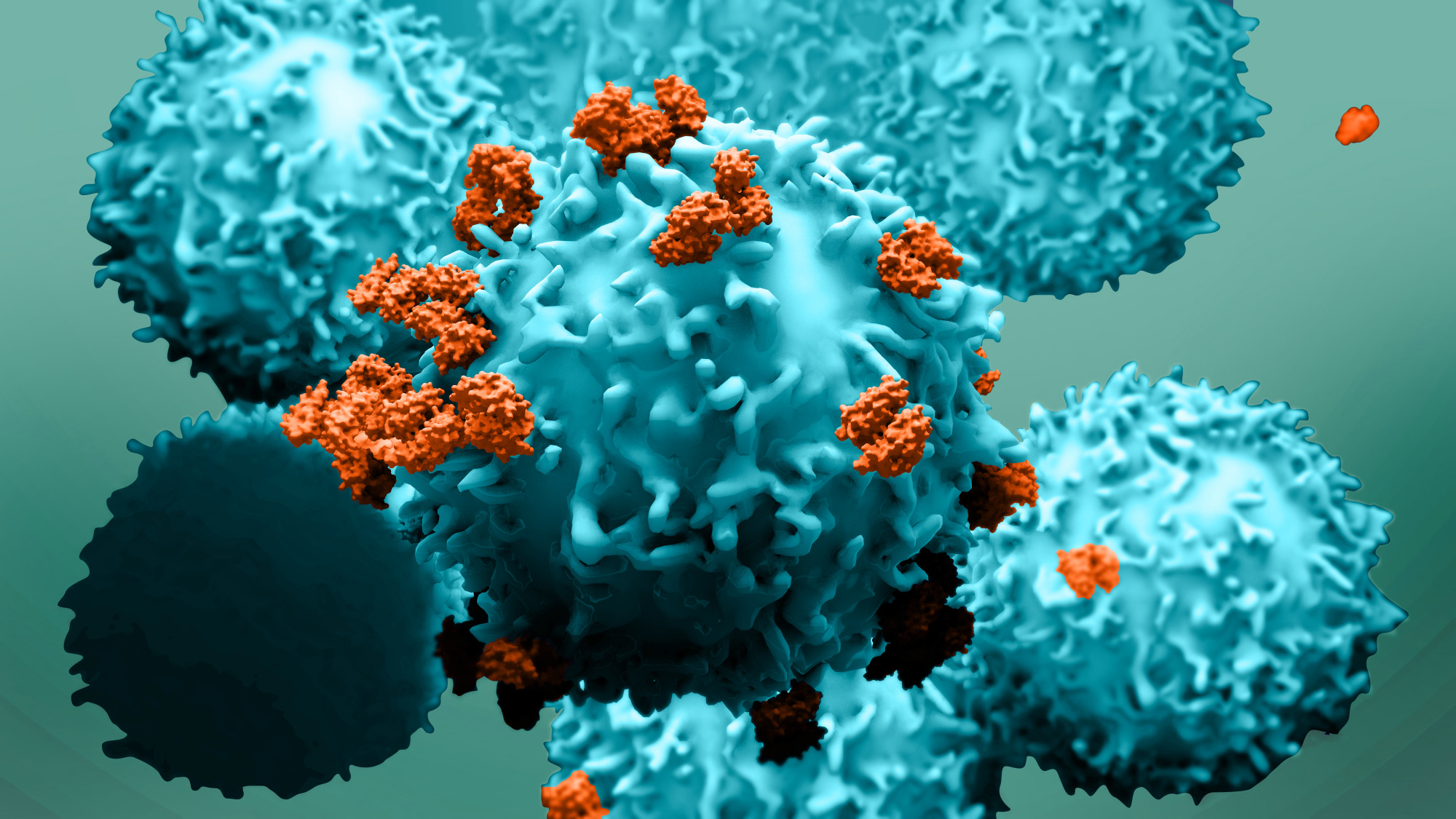 iQue® Virtual Training: Optimizing Sample Preparation for Complex Protocols and Cell Type - Sartorius Croatia